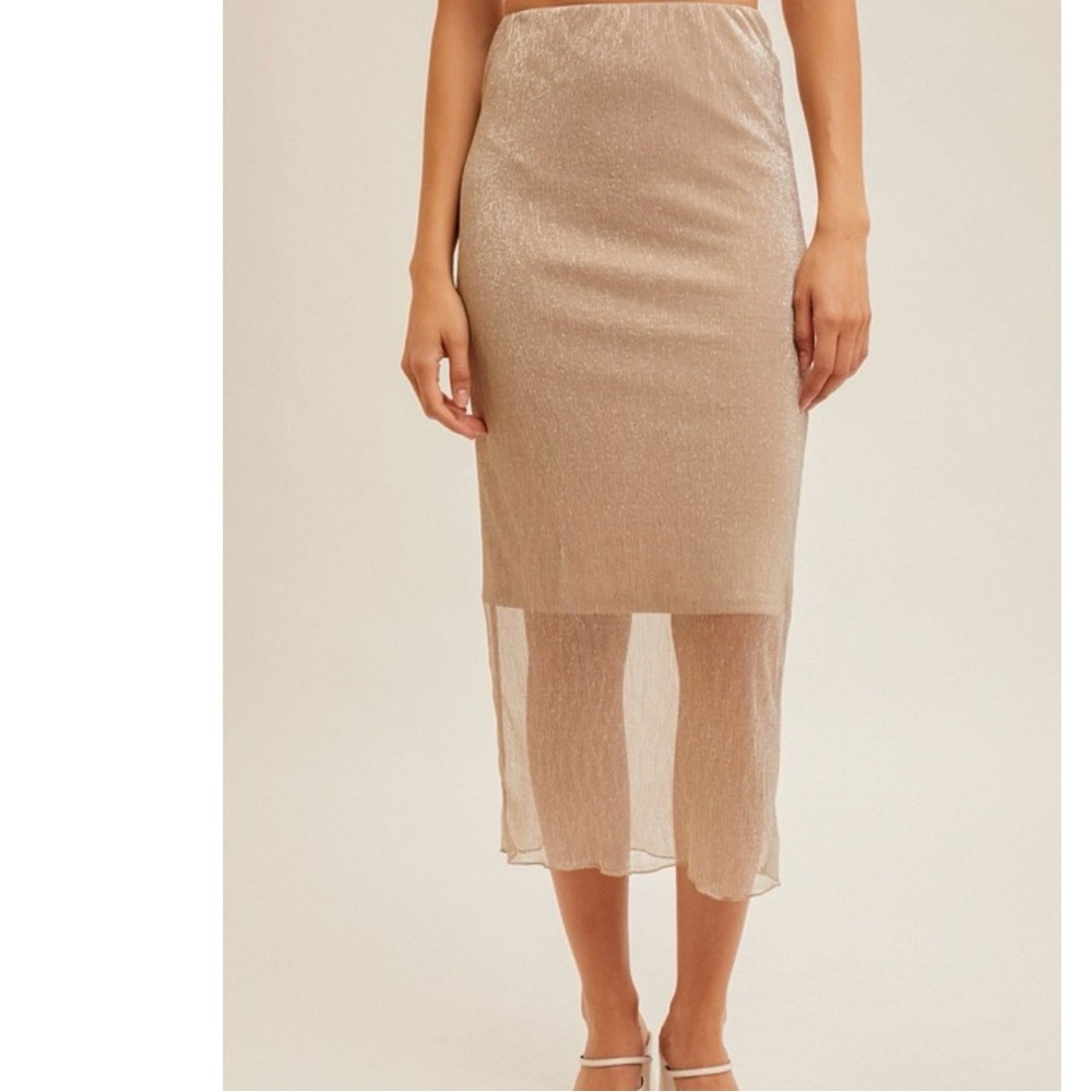 Hem & Thread NWT Shimmery Beige Sheer Midi Skirt, Size Large